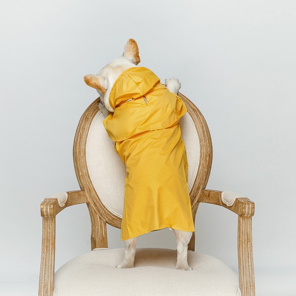 Dog Waterproof Raincoat for Pure Color